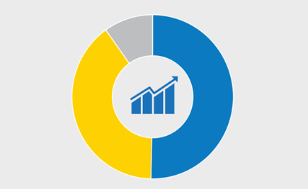 DSP Balanced Fund IG