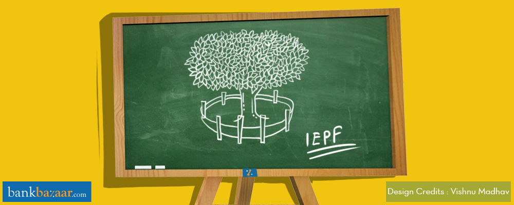 Everything You Need To Know About IEPF