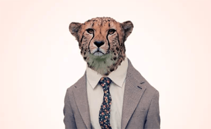 Which Financial Wild Animal Are You? Find Out Now!